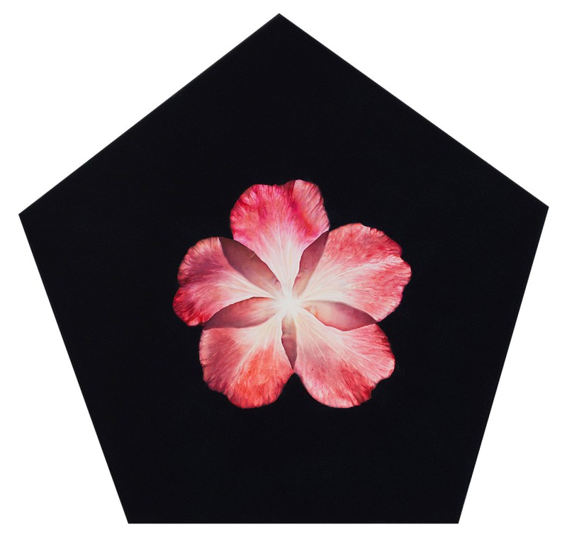 Rosa Rosa