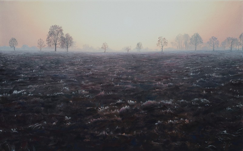-1°C -1°C